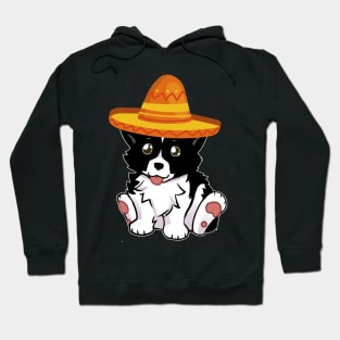 Cute dog border collie mexico cinco de mayo t shirt Hoodie